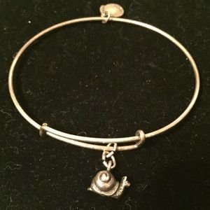Retired Silver Snail Charm Alex and Ani Bracelet